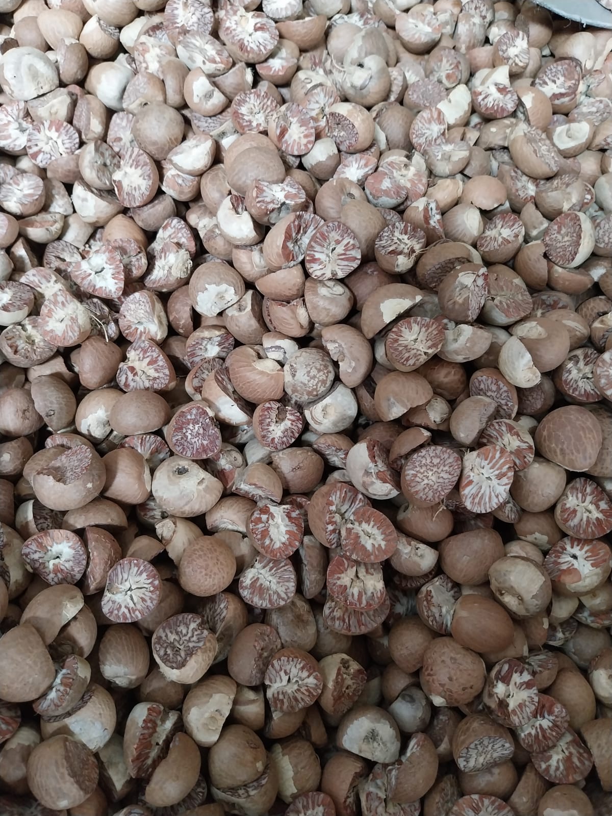 Watch our sourcing and export process